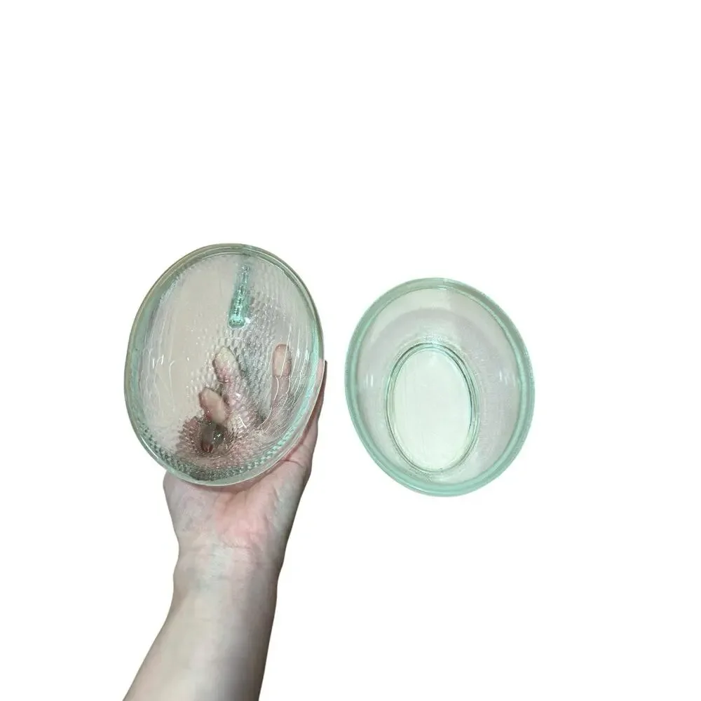 Vintage Indiana Glass Crystal Clear Hen on Nest